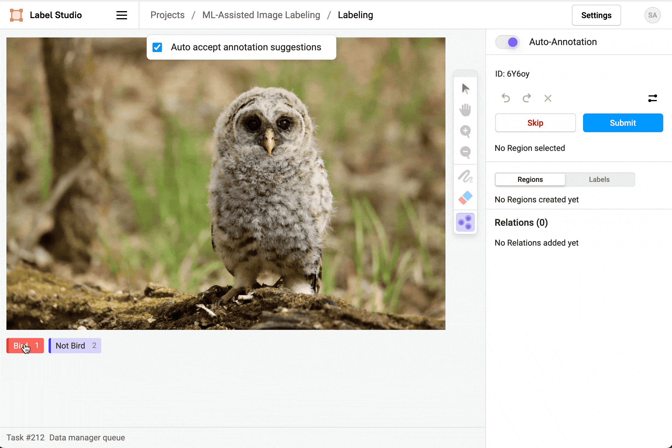 Gif of using the smart keypoint tool to add a keypoint to an image of an adorable owl while auto-annotation is selected, then a spinner icon appears and turns into a checkmark, when it finishes there is a gray brush mask covering the owl, which is then labeled as Bird.